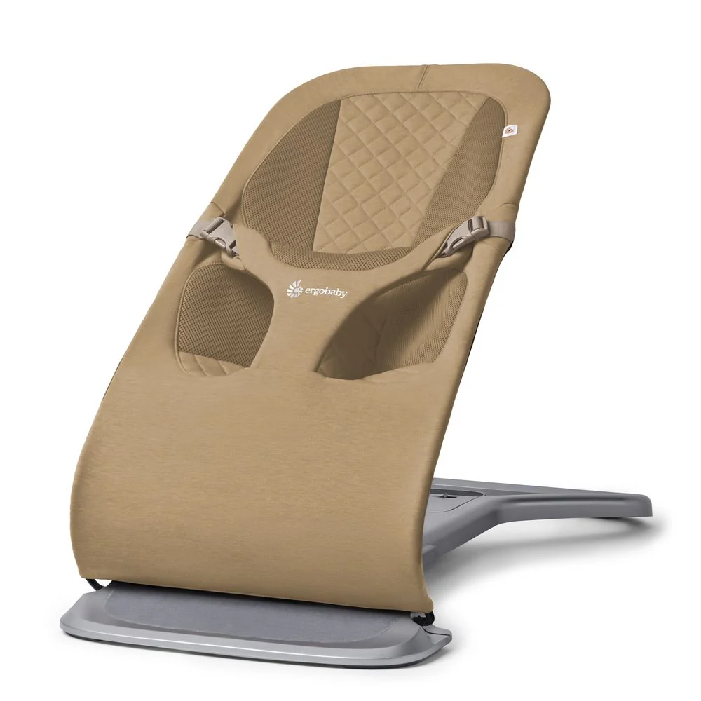 Ergobaby Evolve Bouncer - Image 5
