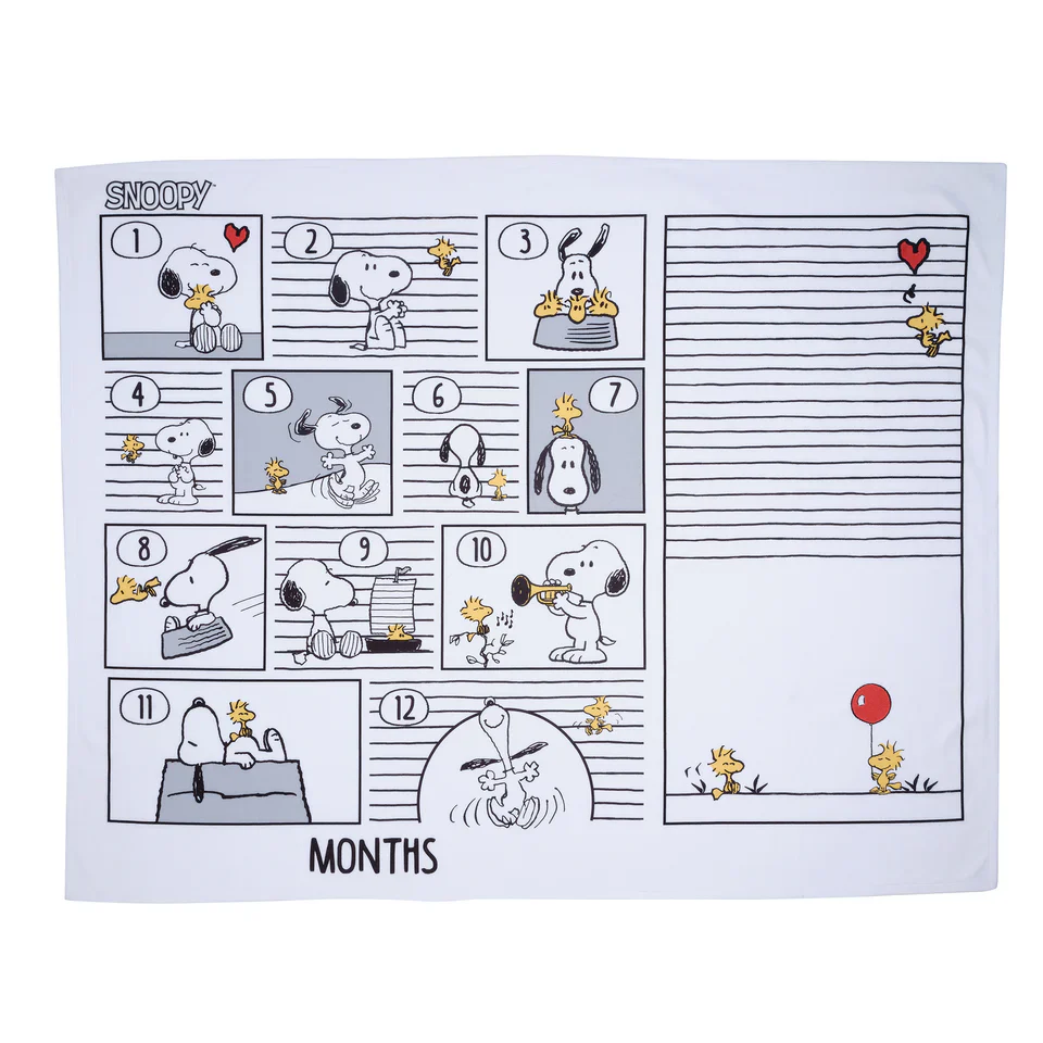 Lambs & Ivy Snoopy Milestone Photo Opportunity Black/White Fleece Baby Blanket - Image 2