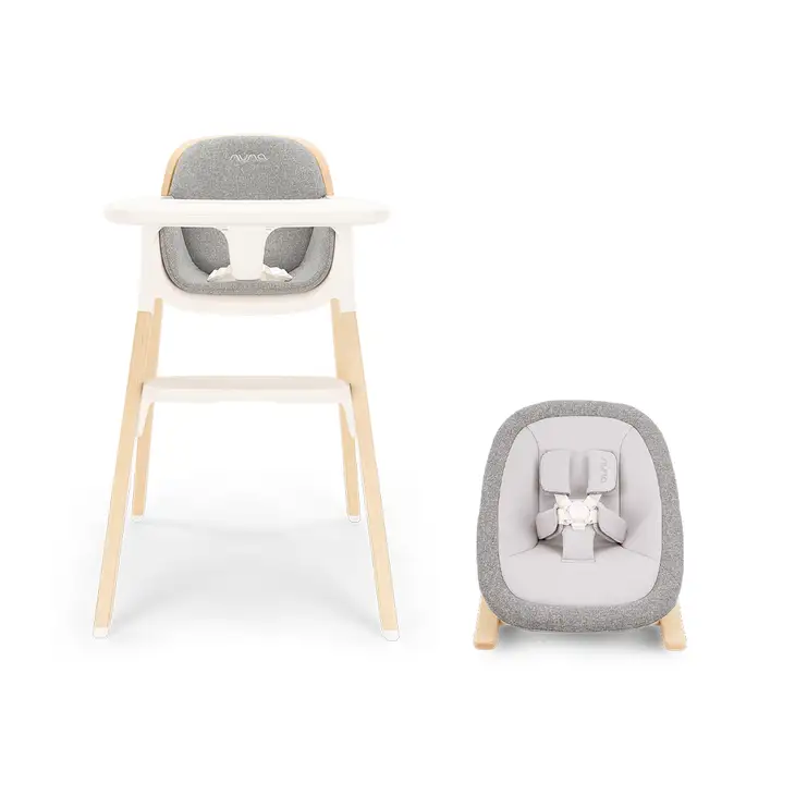 Nuna BRYN + Newborn Rocker Seat