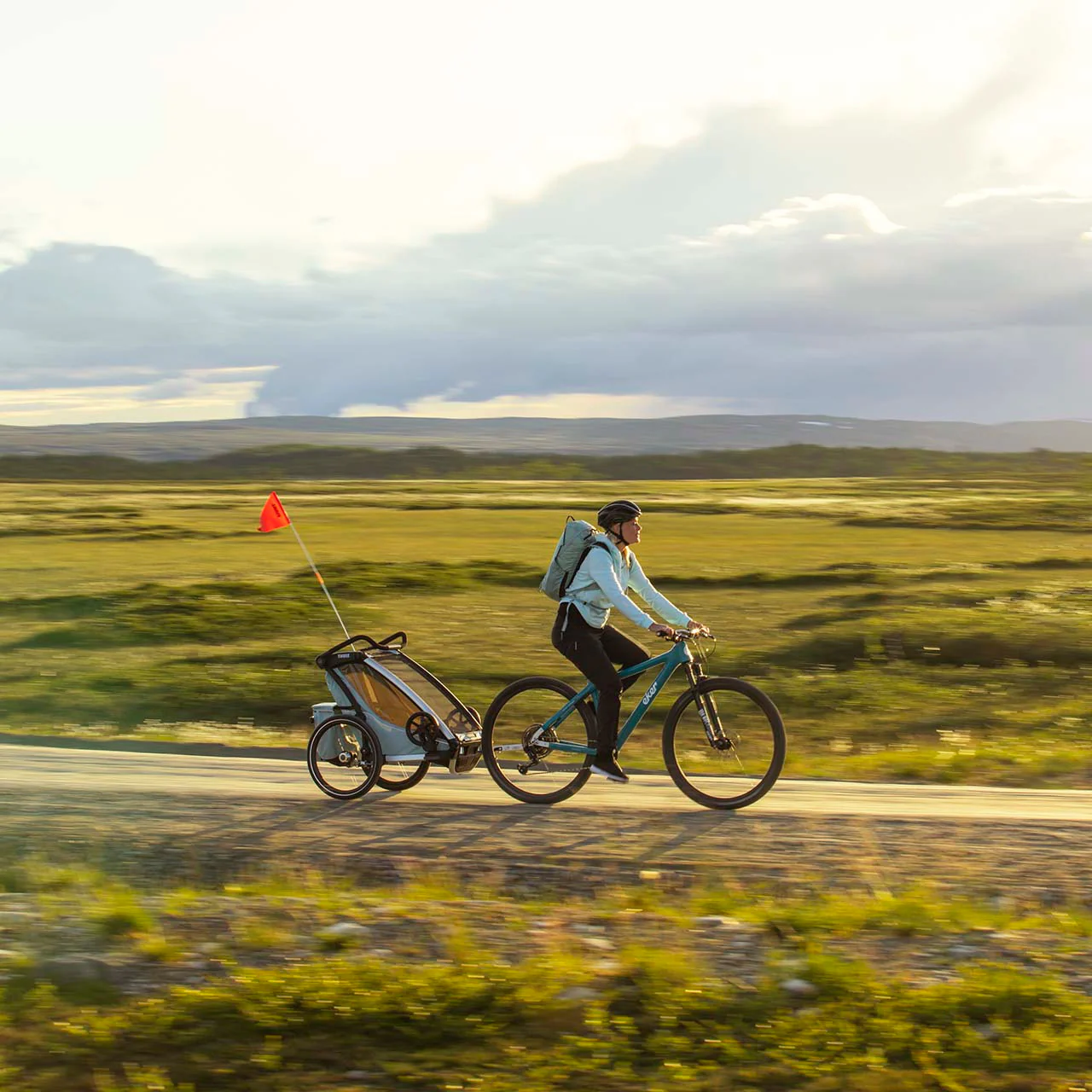 Thule Chariot Cross 1-Seat Multisport Bike Trailer Alaska - Image 8