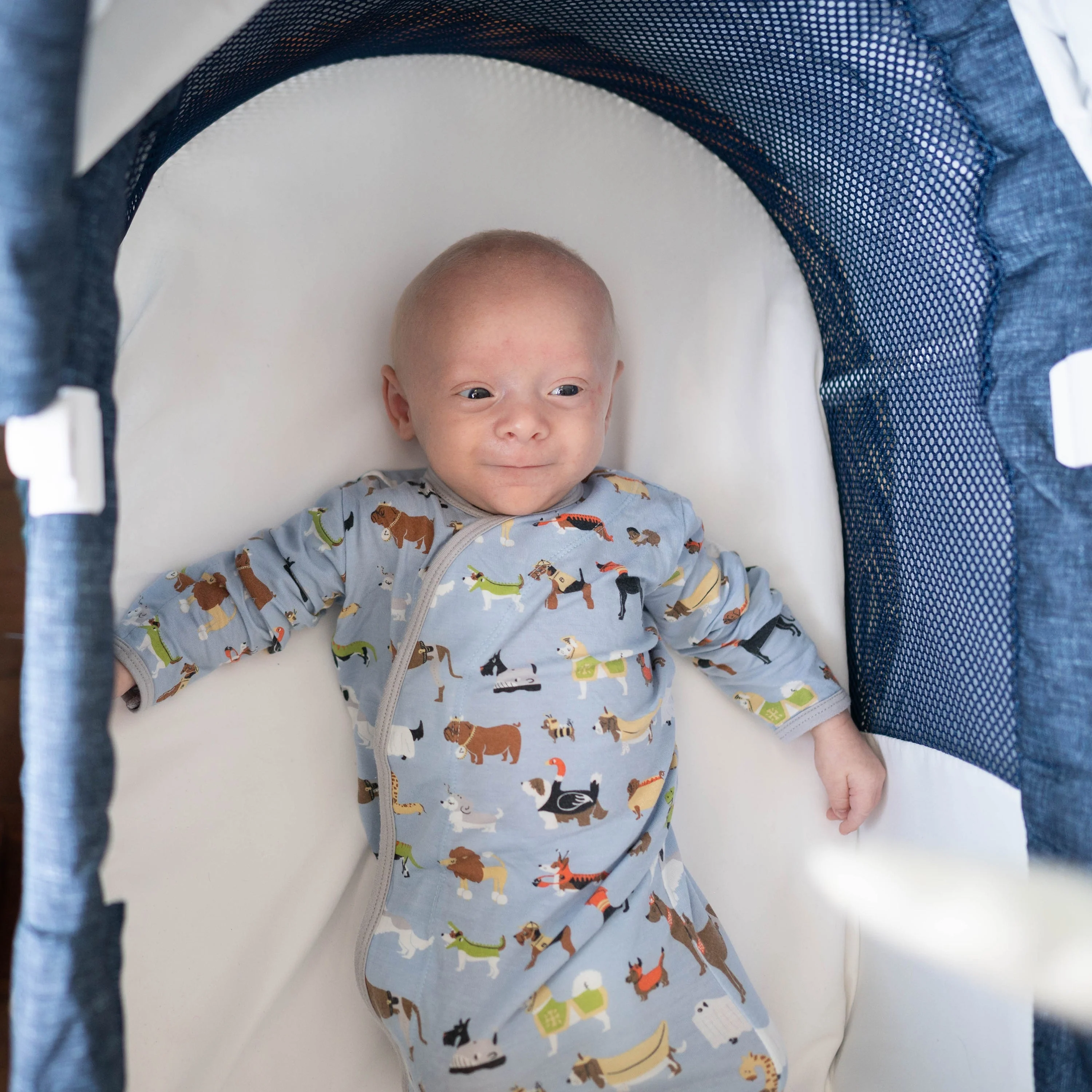 TruBliss Sweetli Nurture Bassinet - Image 12