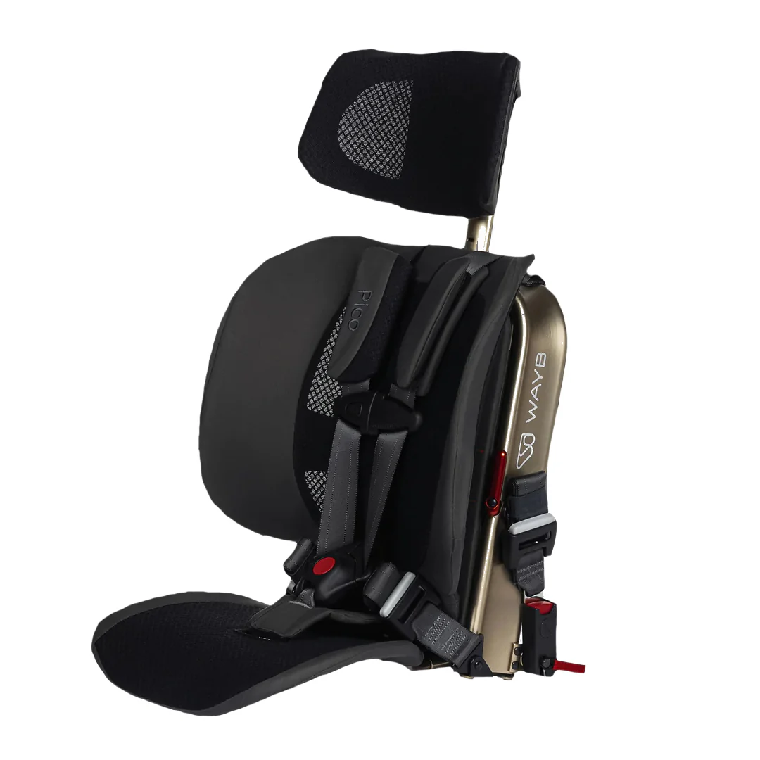 WAYB Pico Car Seat - Image 2